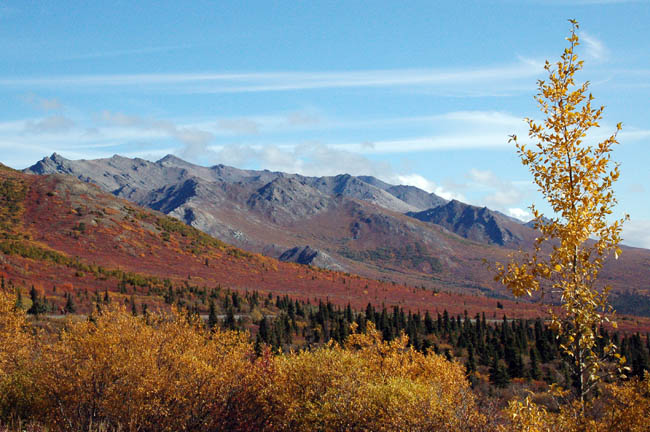 Meadow View Trail1