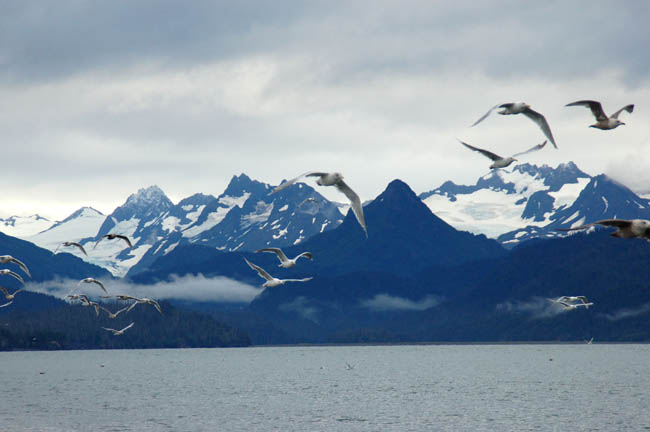 Homer Spit3