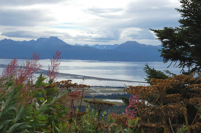 view of Homer Spit1