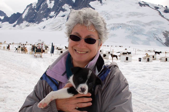 dogsled9