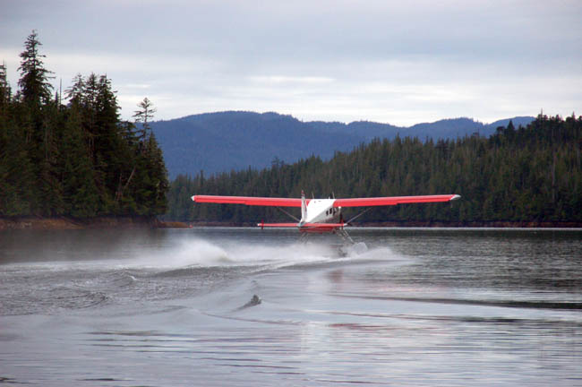 bear - floatplane