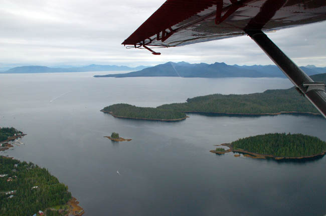 bear - floatplane3