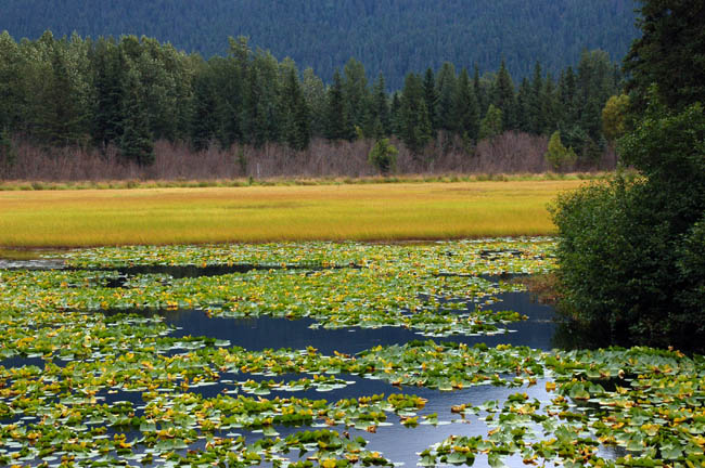 Seward-Sterling Highways3