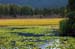 Seward-Sterling Highways3