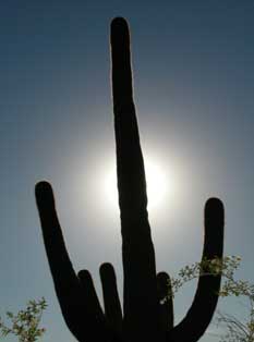 photos by Lorraine Swerdloff