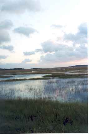 Assateague