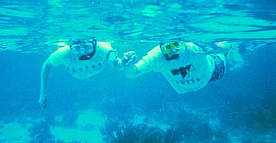 snorkel