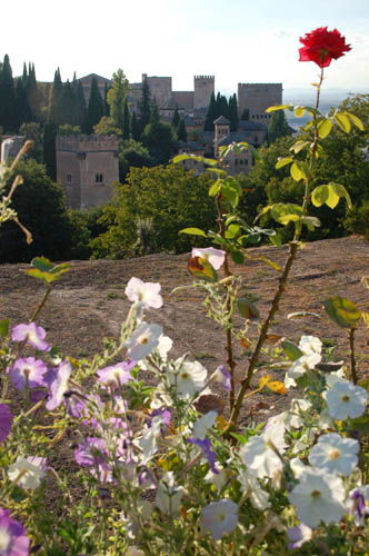 Alhambra gardens1