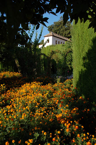 Alhambra gardens3