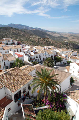 Zahara1