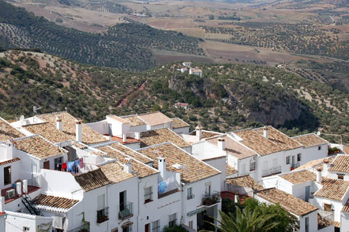 Zahara2