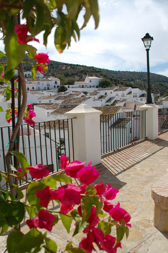Zahara3