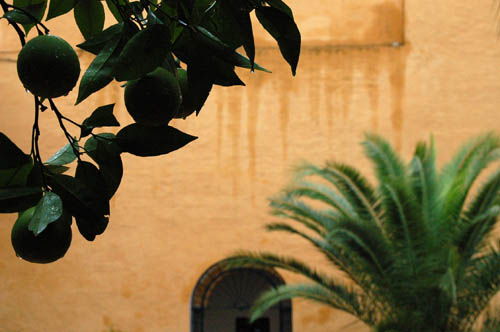alcazar-garden2