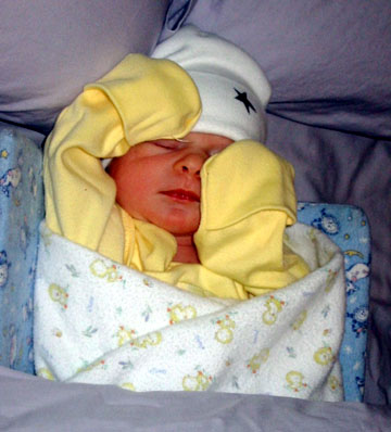 12 days old